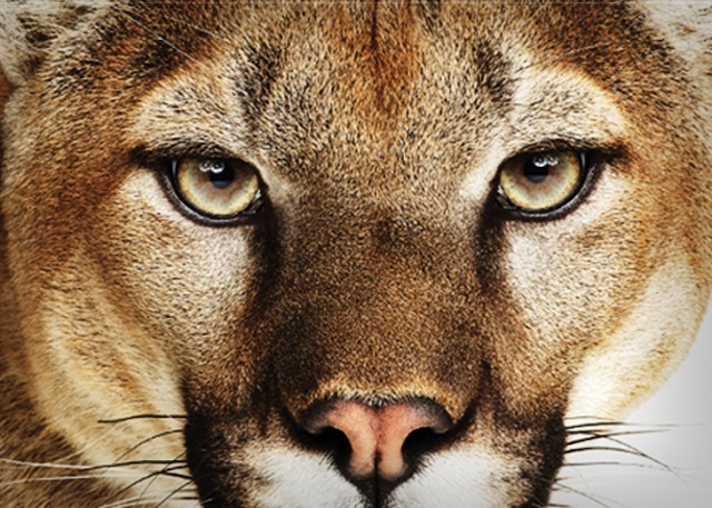 mac avvio lento snow leopard